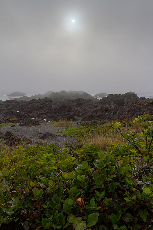 09-18 - 07.jpg - Wild Pacific Trail, Vancouver Island, BC